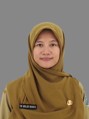 Tri Wulan Rahayu, S.Pd Tri Wulan Rahayu, S.Pd